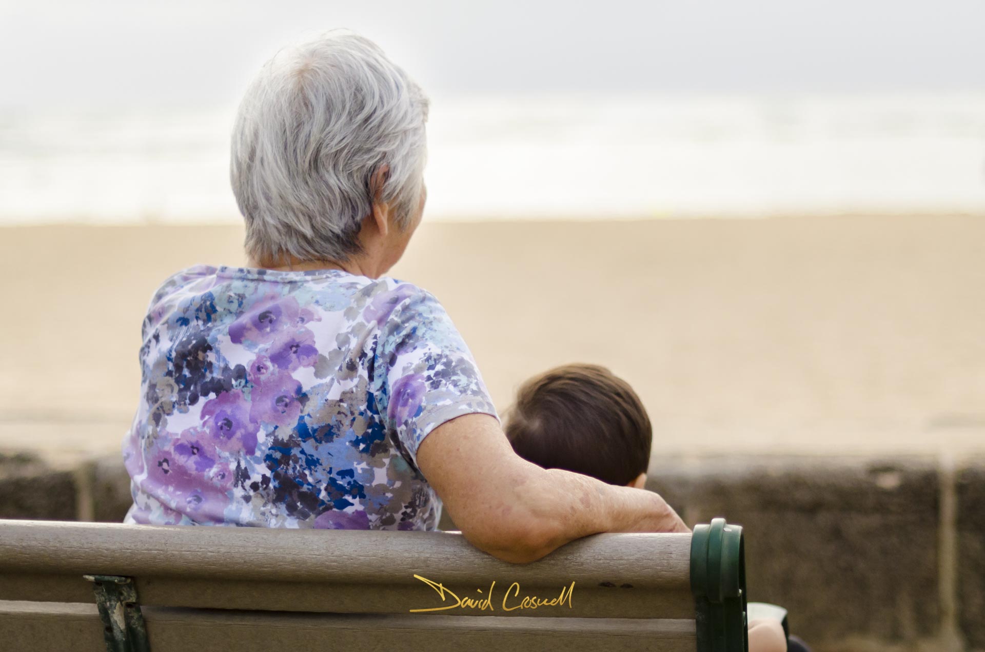 People at the beach sitting on a bench